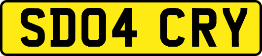 SD04CRY