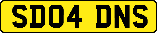 SD04DNS