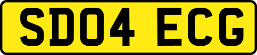 SD04ECG