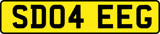 SD04EEG