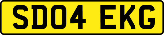 SD04EKG