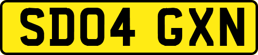 SD04GXN
