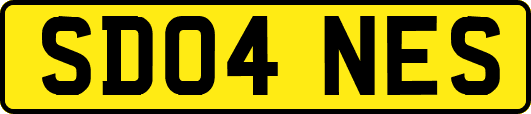 SD04NES