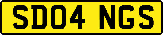 SD04NGS