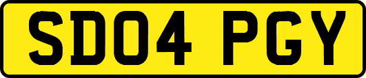 SD04PGY