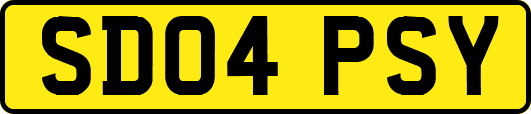 SD04PSY