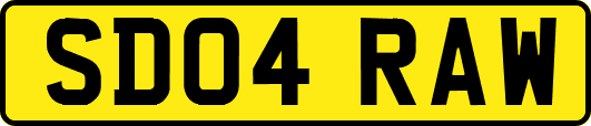 SD04RAW