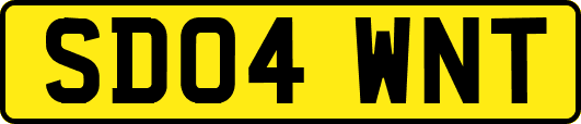 SD04WNT