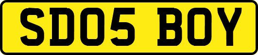 SD05BOY
