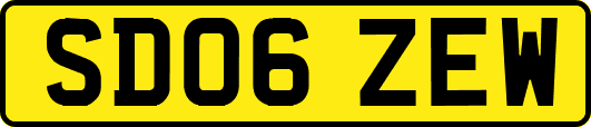 SD06ZEW