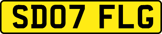 SD07FLG