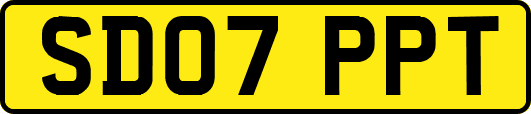 SD07PPT