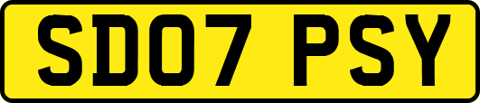 SD07PSY