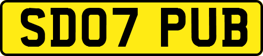 SD07PUB