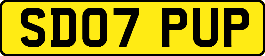 SD07PUP