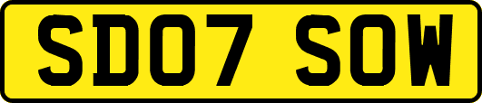 SD07SOW
