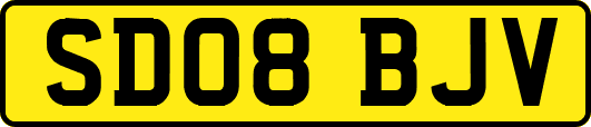 SD08BJV