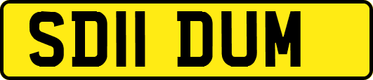 SD11DUM