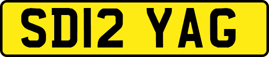 SD12YAG