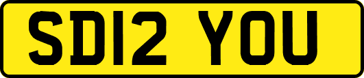 SD12YOU