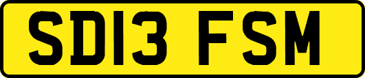 SD13FSM