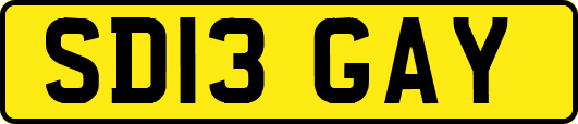 SD13GAY