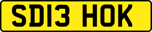 SD13HOK
