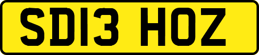 SD13HOZ
