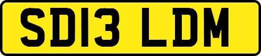 SD13LDM