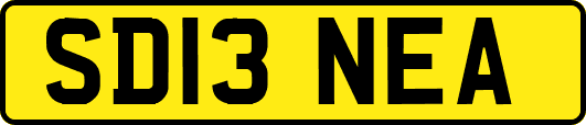 SD13NEA