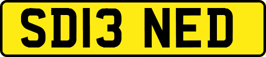 SD13NED