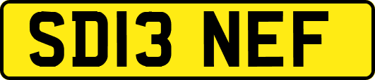SD13NEF