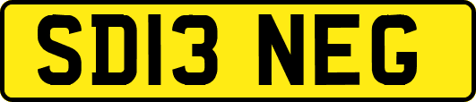 SD13NEG