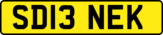 SD13NEK