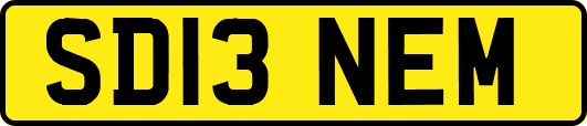 SD13NEM