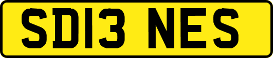 SD13NES