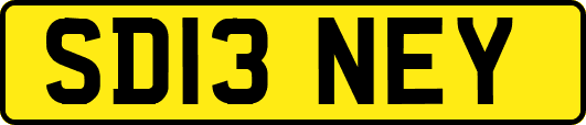 SD13NEY