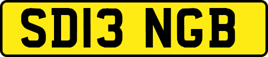 SD13NGB
