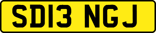 SD13NGJ