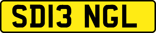 SD13NGL