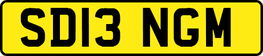 SD13NGM