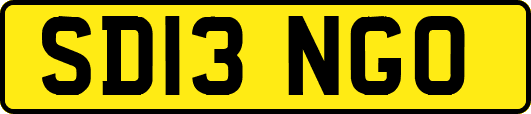 SD13NGO