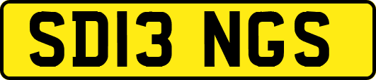 SD13NGS