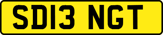 SD13NGT