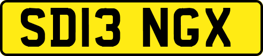 SD13NGX