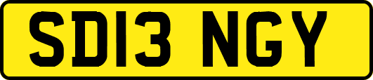 SD13NGY