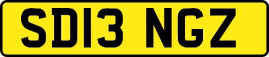 SD13NGZ