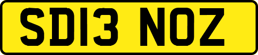 SD13NOZ