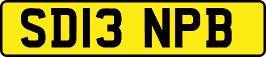 SD13NPB