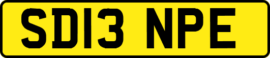 SD13NPE